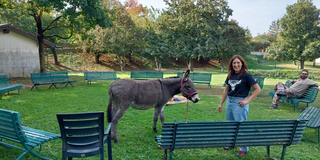 WhatsApp Image 2022-11-02 at 13.11.40