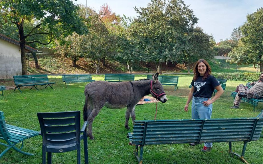 WhatsApp Image 2022-11-02 at 13.11.40