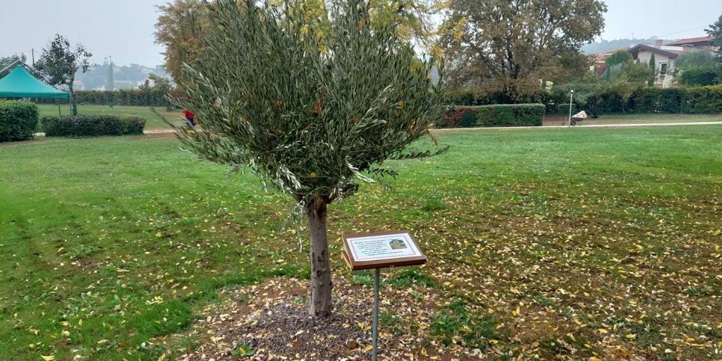 WhatsApp Image 2022-11-02 at 13.11.40 (2)