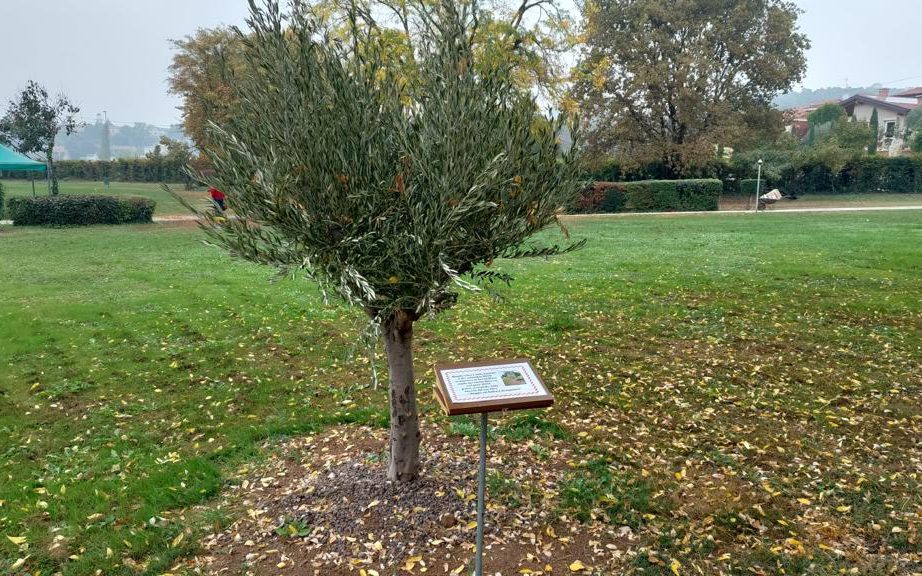 WhatsApp Image 2022-11-02 at 13.11.40 (2)